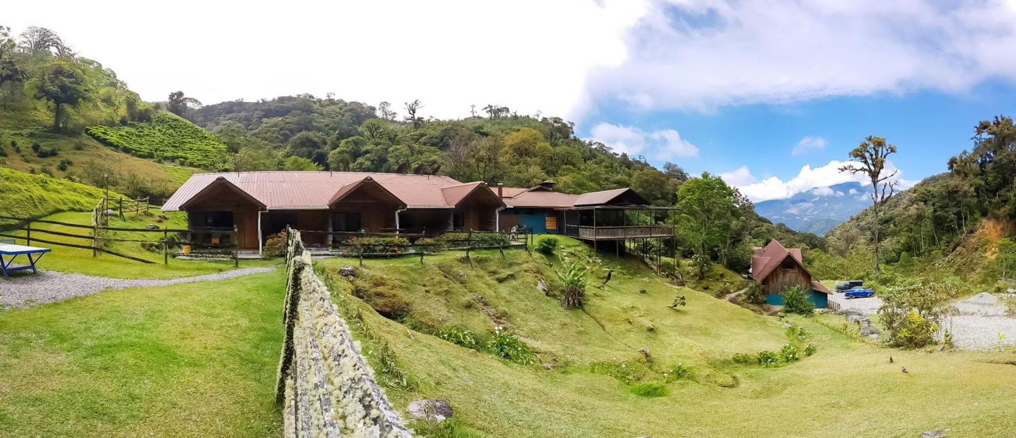 Tree Trek Adventure Park Hotel