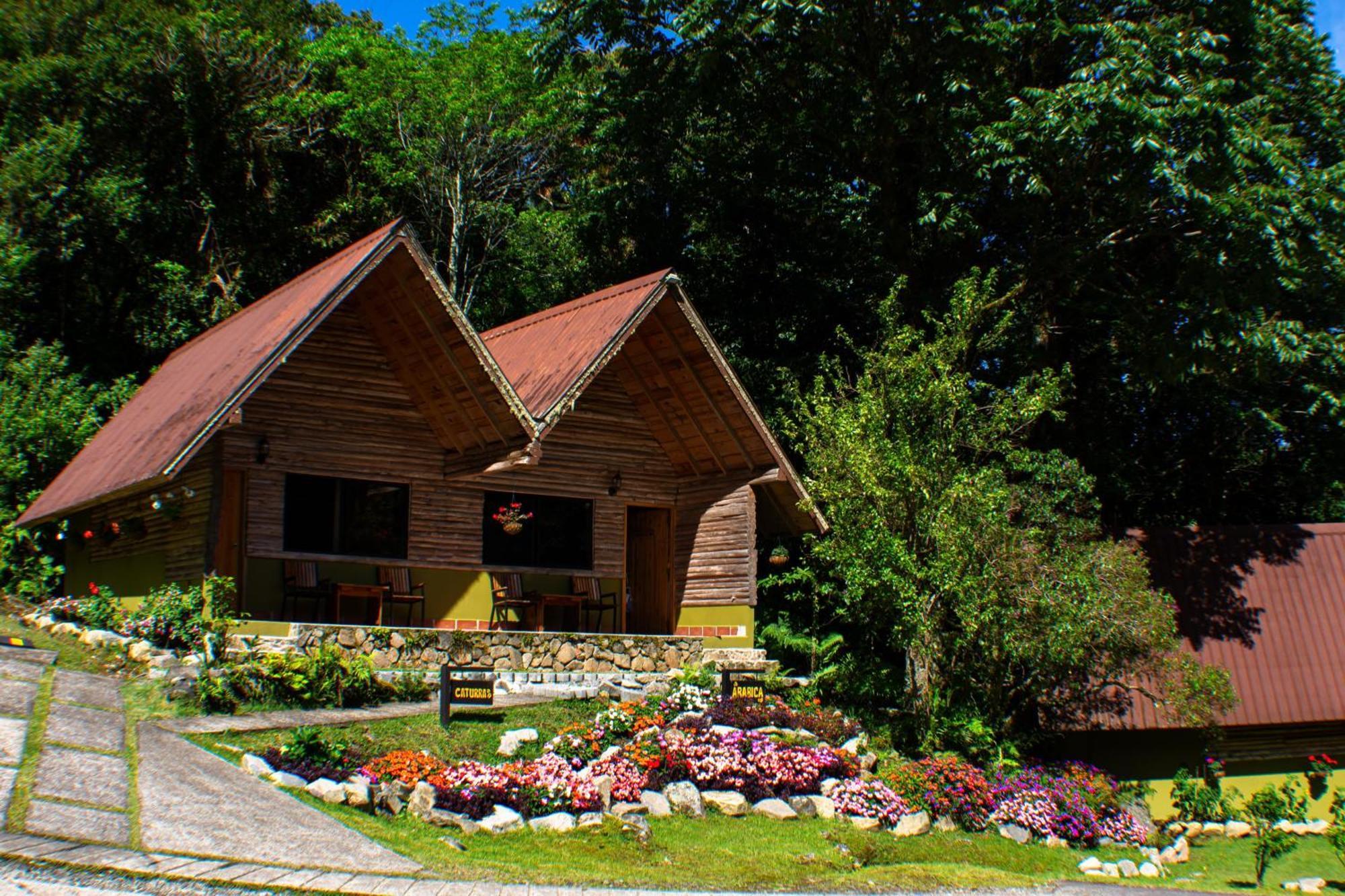 Tree Trek Adventure Park